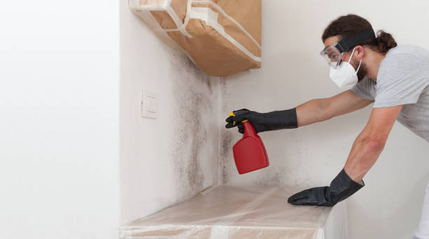 Professional Black Mold Removal technician working in Whippany, NJ
